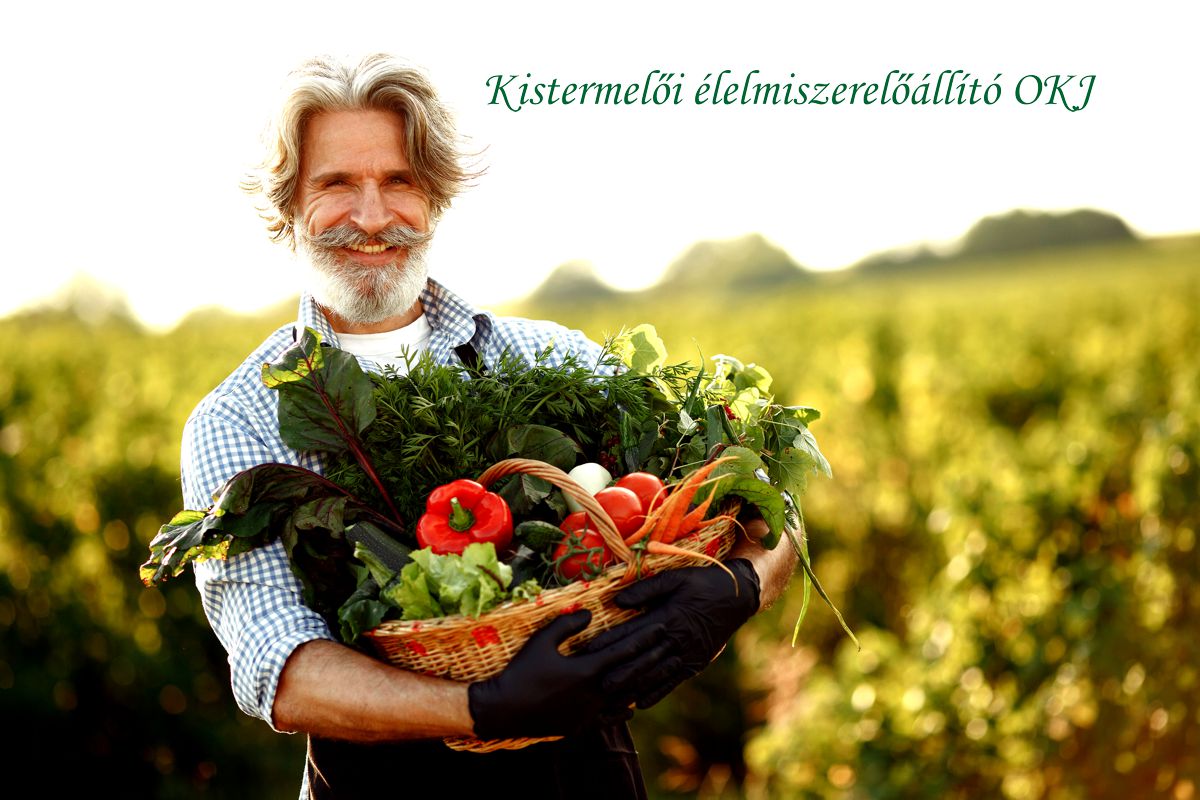 Seg&eacute;d - K&eacute;pz&eacute;s, Tanfolyam, Vizsga - M-ST&Uacute;DIUM